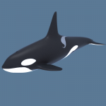 killer-whale-orca-3d-model-1