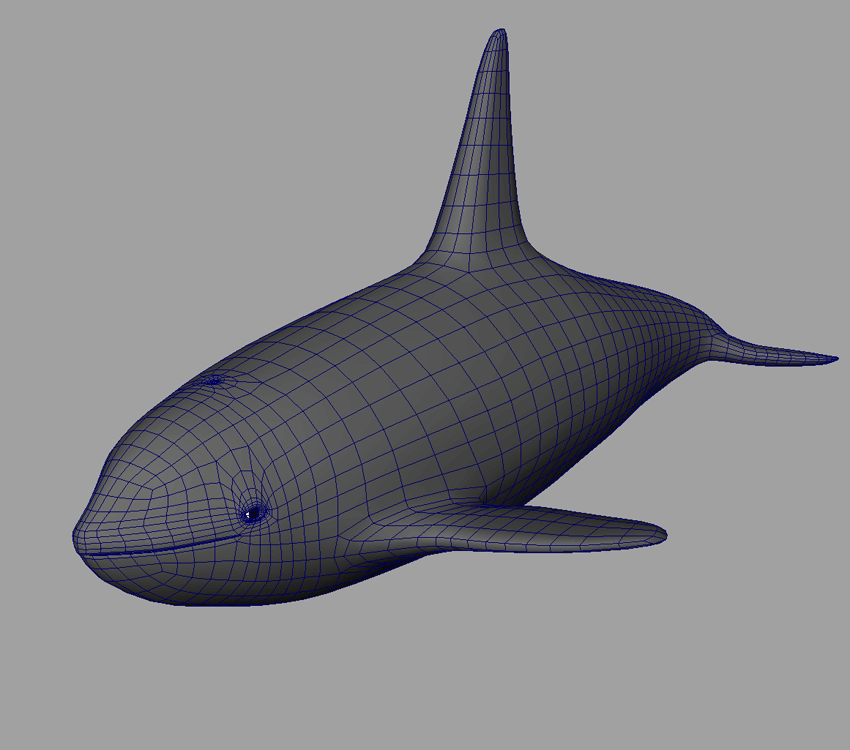 killer-whale-orca-3d-model-10