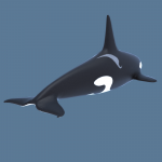 killer-whale-orca-3d-model-5
