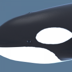 killer-whale-orca-3d-model-6