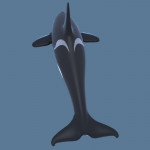 killer-whale-orca-3d-model-7
