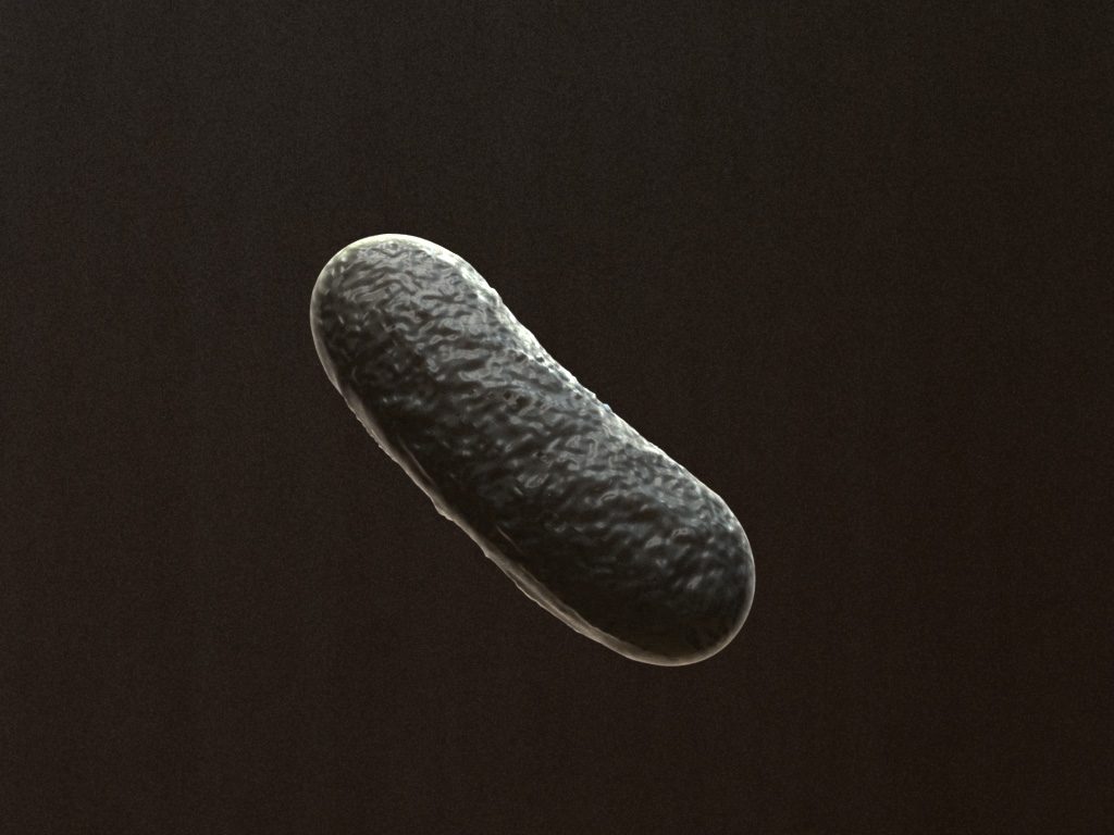 bacillus-3d-model-bacteria-cell-1