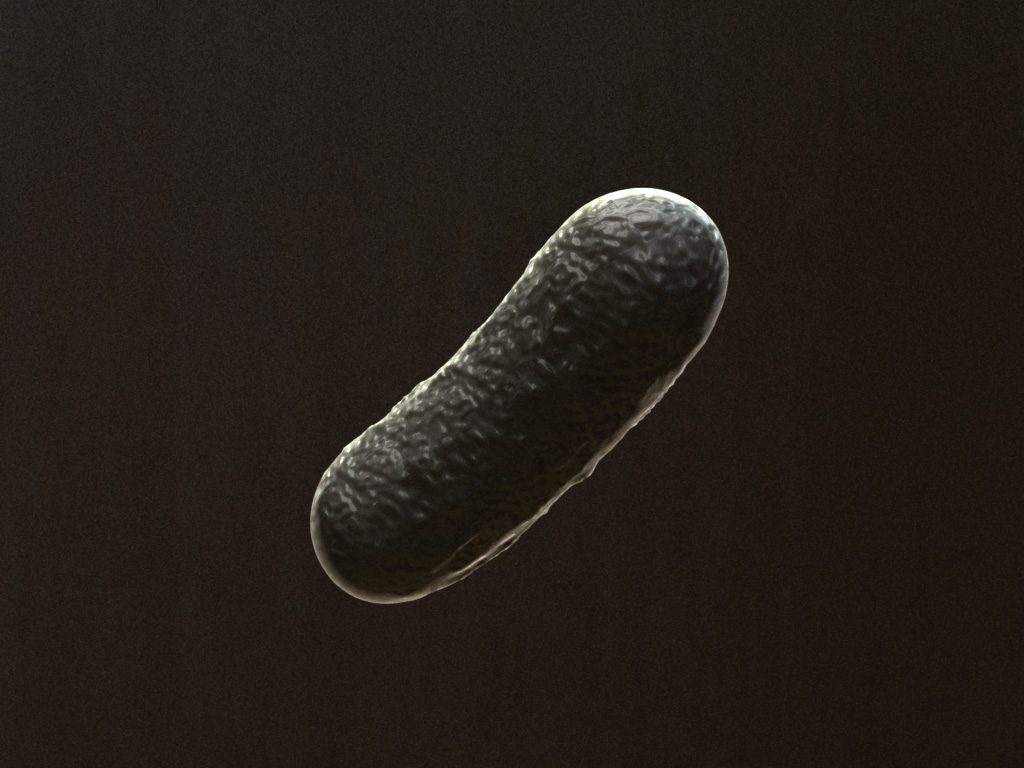 bacillus-3d-model-bacteria-cell-3