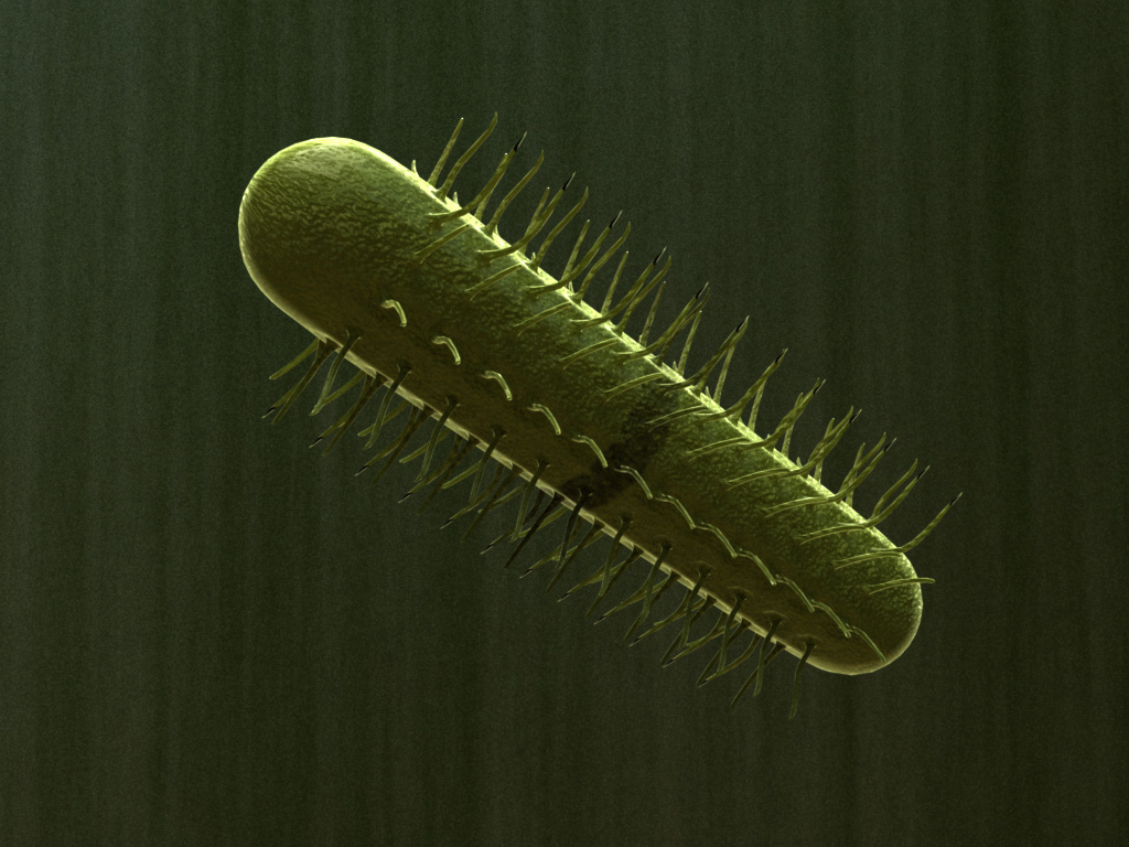 e-coli-3d-model-bacteria-3