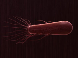 flagella-3dmodel-bacteria-1