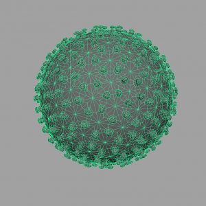 Hepatitis B 3D Model - 3D Models World