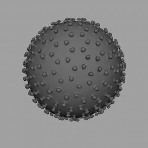 Hepatitis B 3D Model - 3D Models World