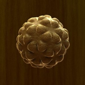 pollen-cell-3d-model-4