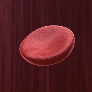 red-blood-cell-3d-model-1