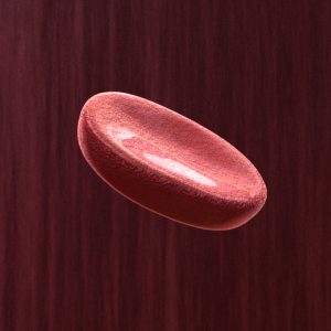 red-blood-cell-3d-model-2