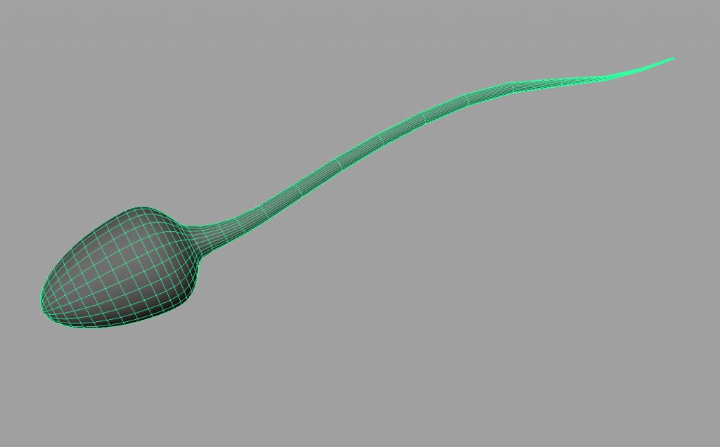 sperm-3d-model-3