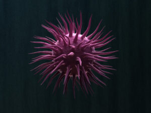 virus-3d-model-cell-10