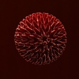 virus-3d-model-cell-16