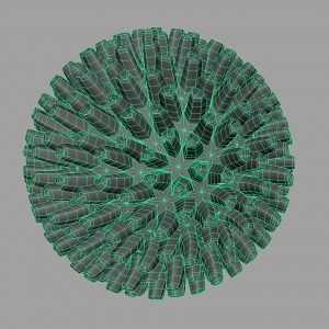 virus-3d-model-cell-17