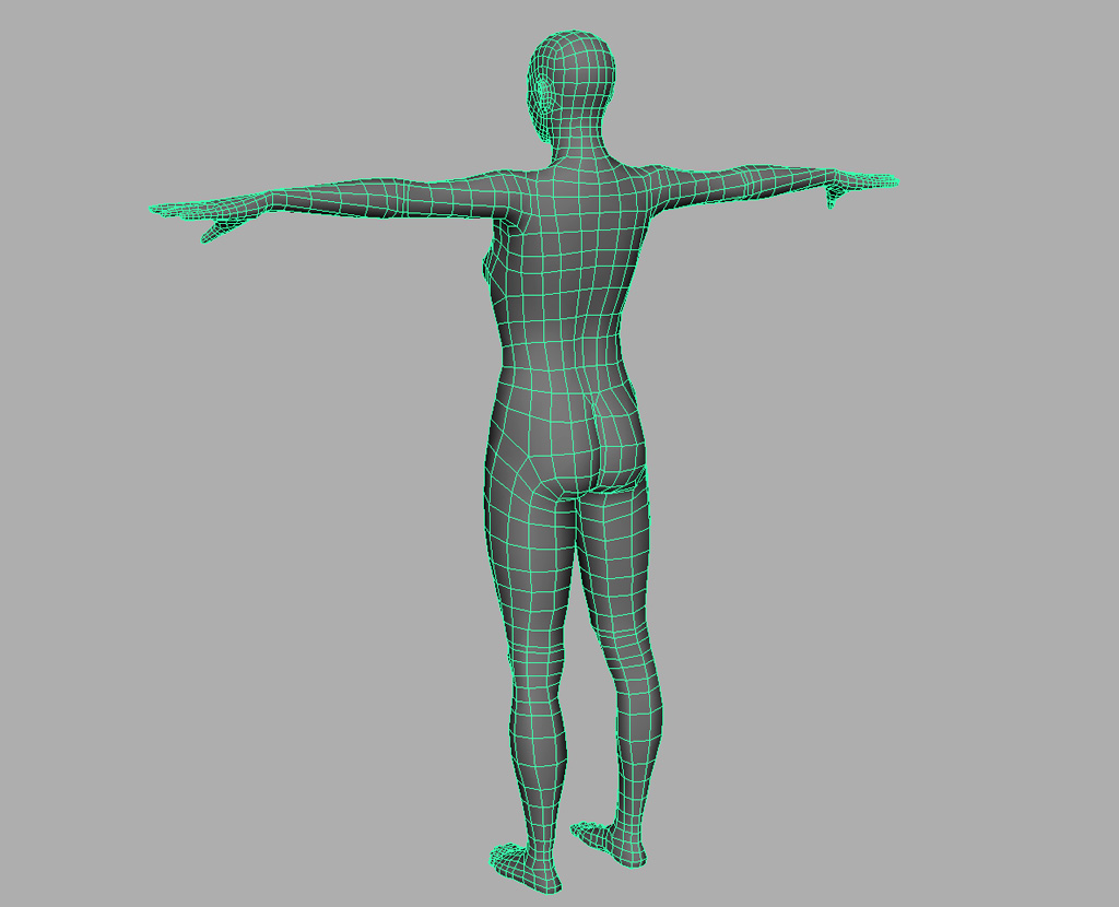 3d model human. 3д модель четверки.