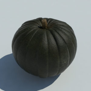 pumpkin-green-3d-model-1