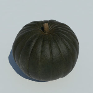 pumpkin-green-3d-model-2