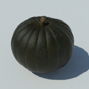 pumpkin-green-3d-model-3