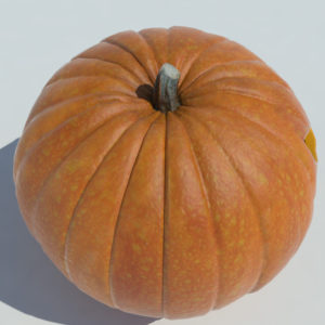 jack-o-lantern-3d-model-carvings-pumpkin-3