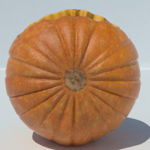 jack-o-lantern-3d-model-carvings-pumpkin-4