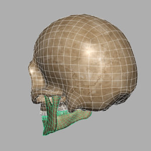angry-skull-3d-model-11