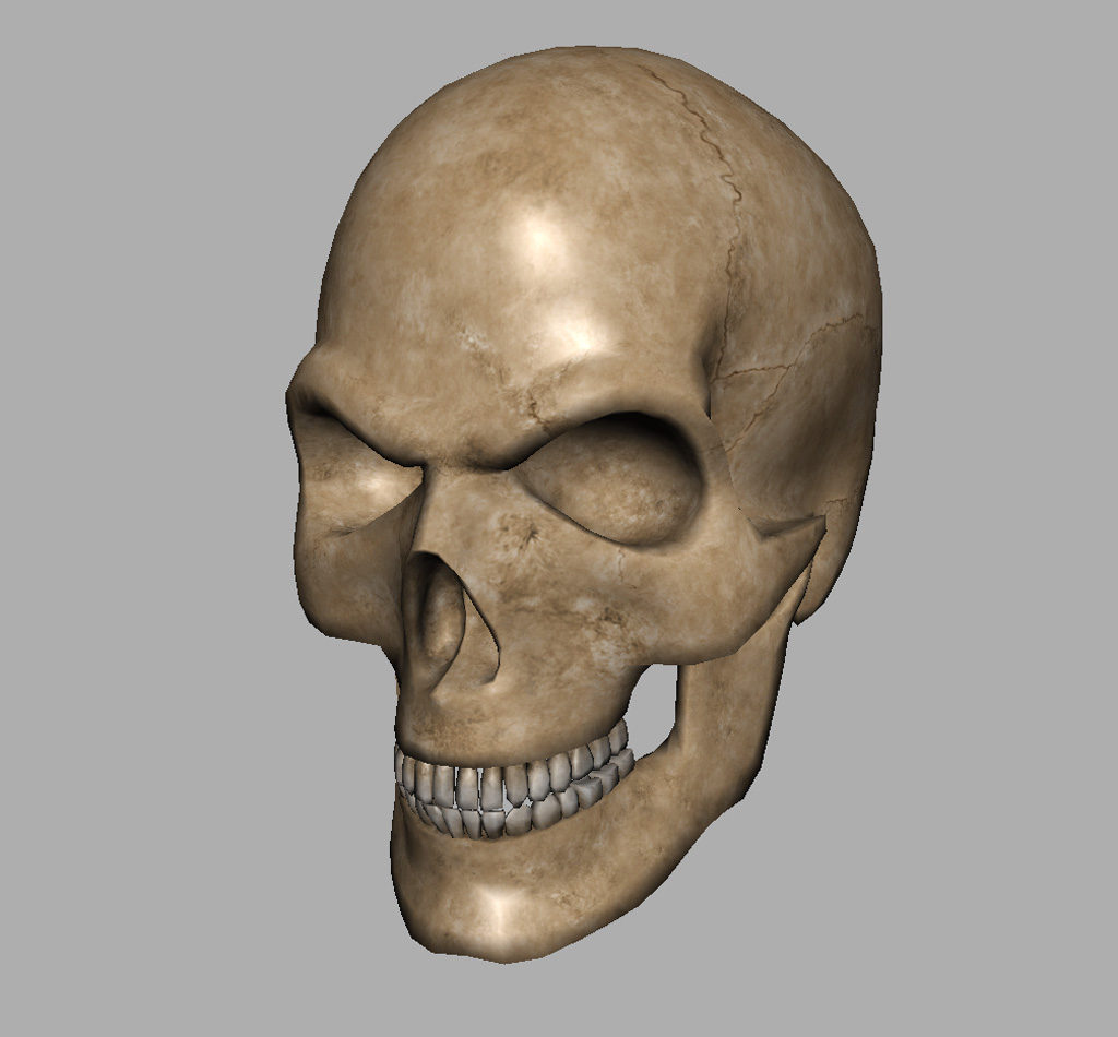 angry-skull-3d-model-12