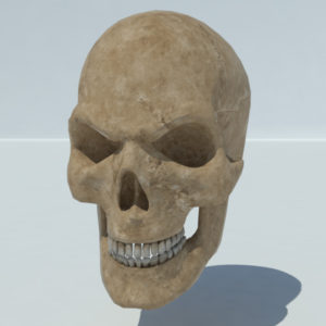 angry-skull-3d-model-5
