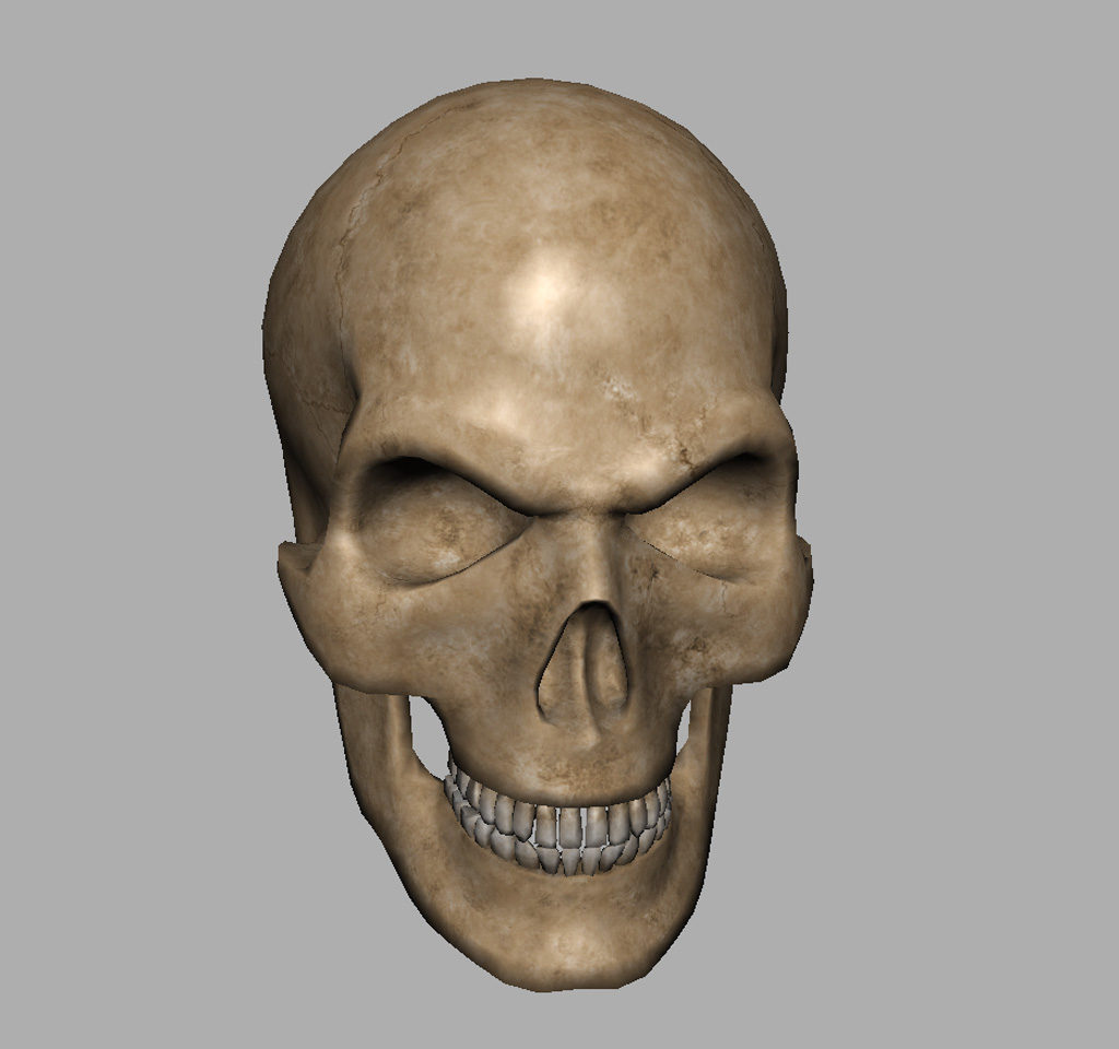 angry-skull-3d-model-6