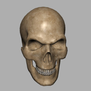 angry-skull-3d-model-6