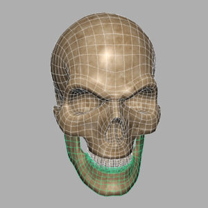 angry-skull-3d-model-7