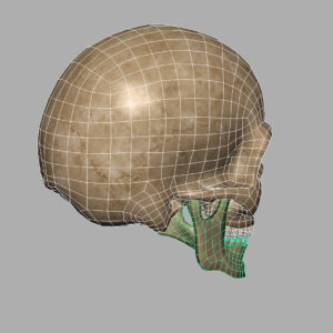 angry-skull-3d-model-9