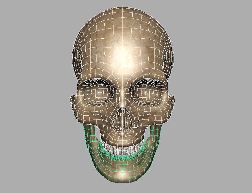 human-skull-3d-model-7
