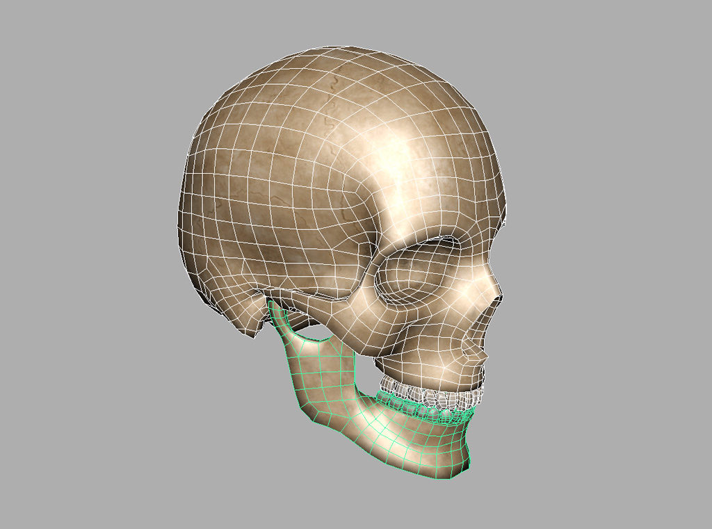 human-skull-3d-model-9