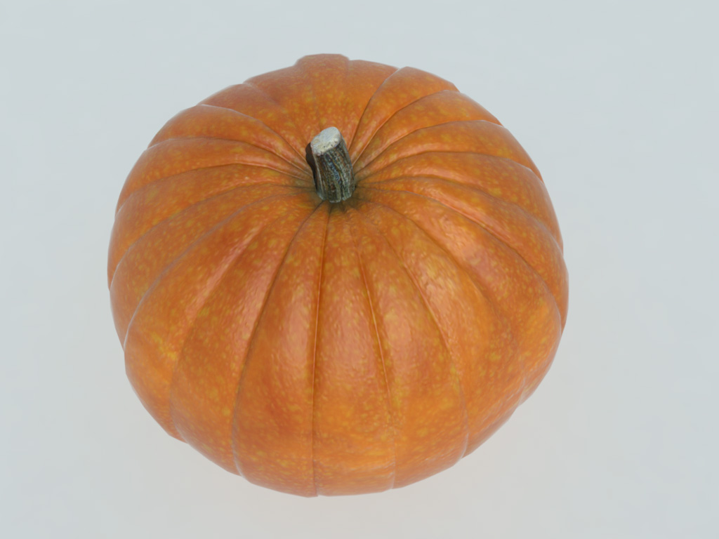 pumpkin-3d-model-11