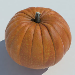 pumpkin-3d-model-carvings-halloween-3