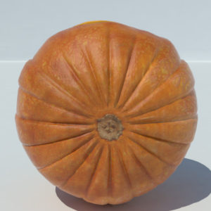pumpkin-3d-model-carvings-halloween-5