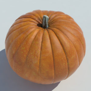 pumpkin-carvings-3d-model-4