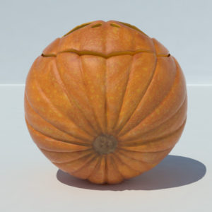 pumpkin-carvings-3d-model-5