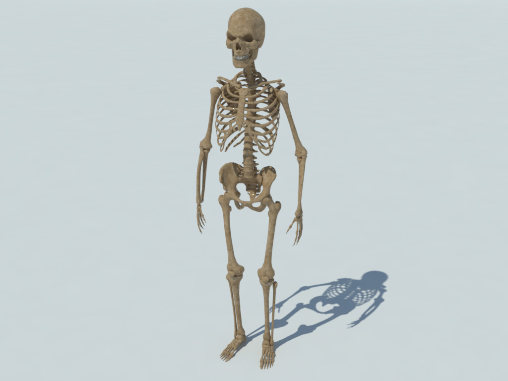 Skeleton 3-D Rotting Zombie Boy's Halloween Costume 8-10 Medium #R75 