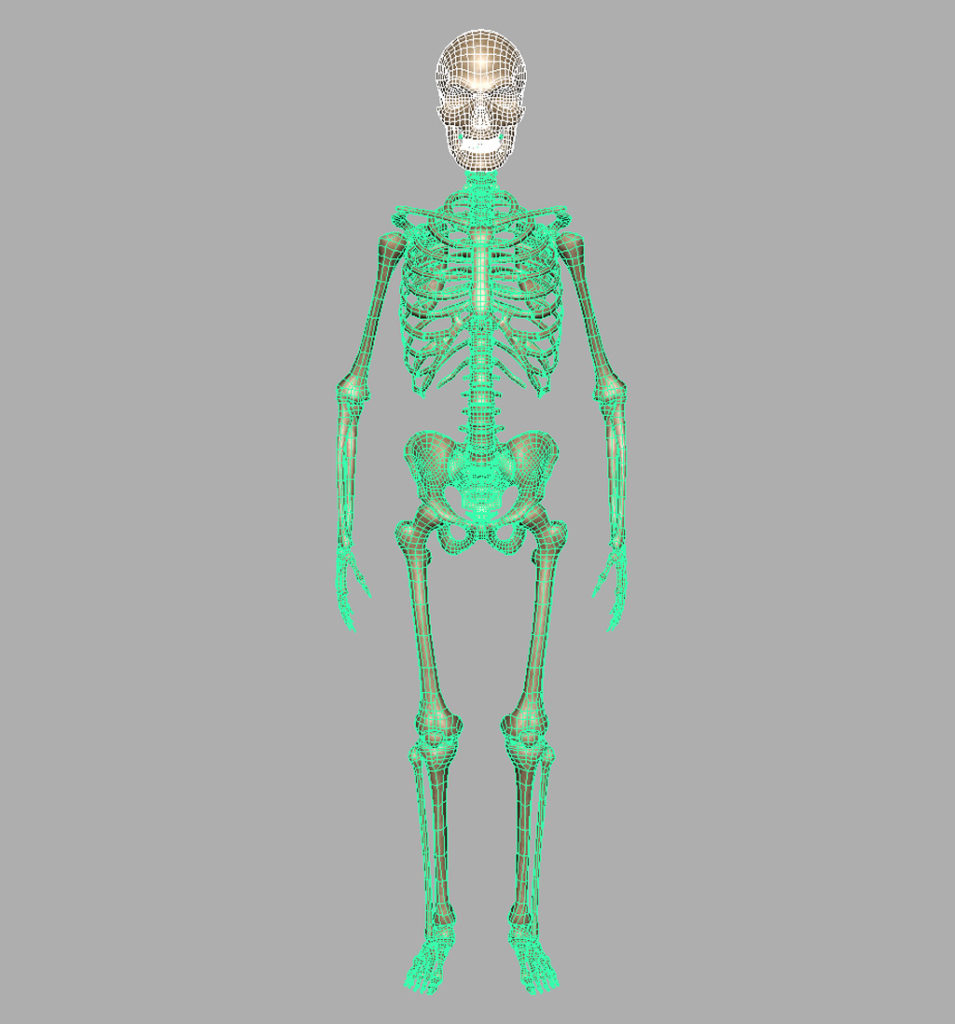 skeleton-halloween-3d-model-7