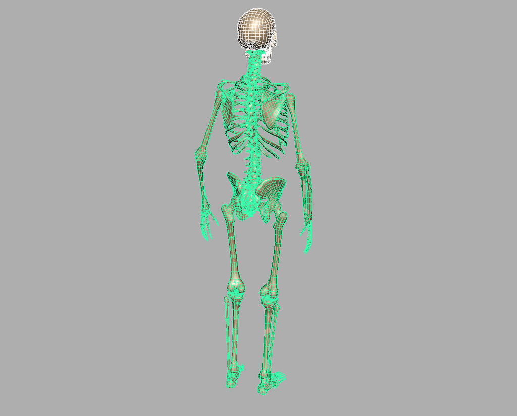 skeleton-halloween-3d-model-9
