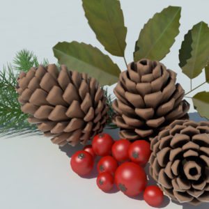 pine-cone-spruce-fir-leaf-3d-model-4