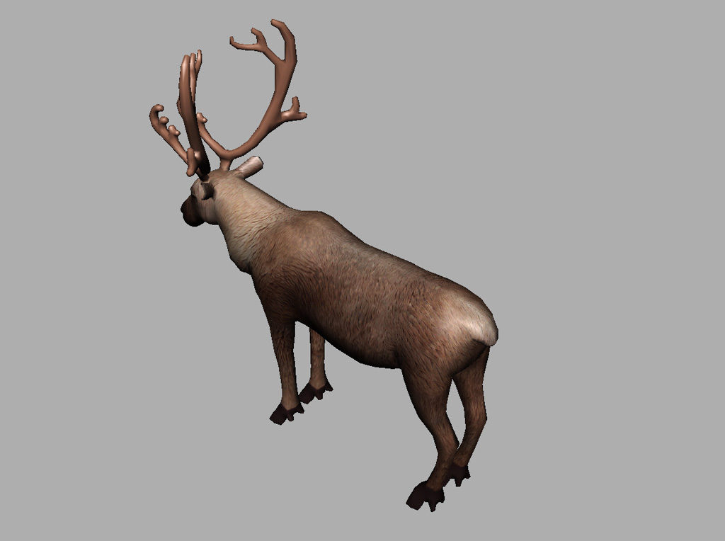 reindeer-3d-model-10