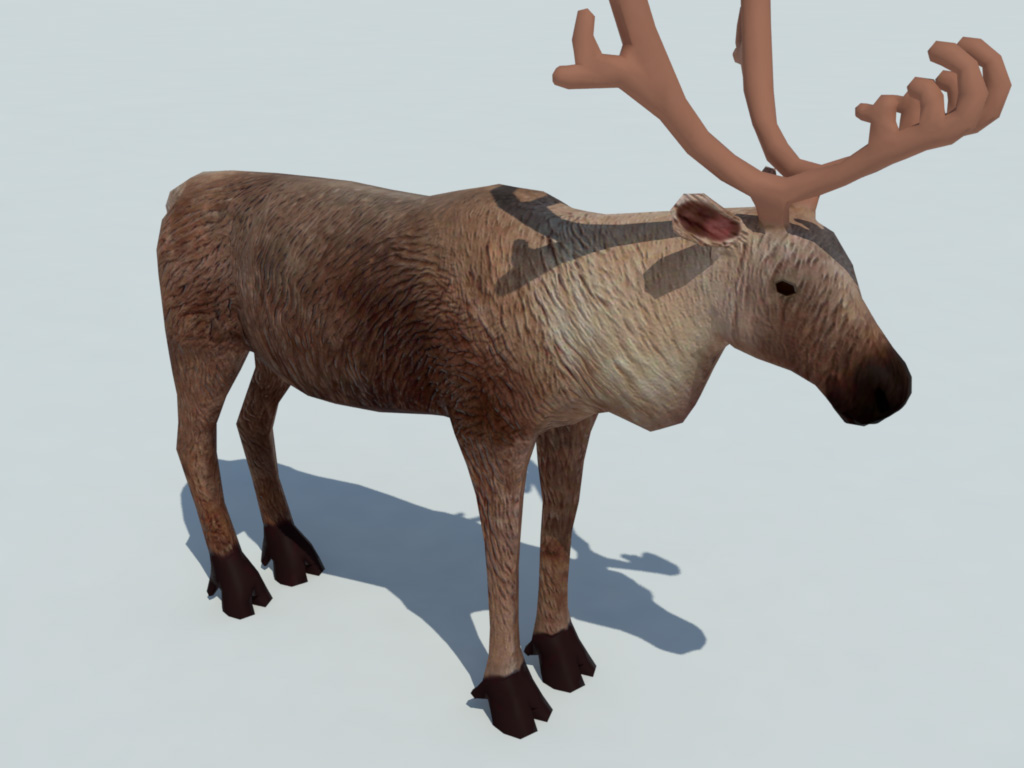 reindeer-3d-model-4