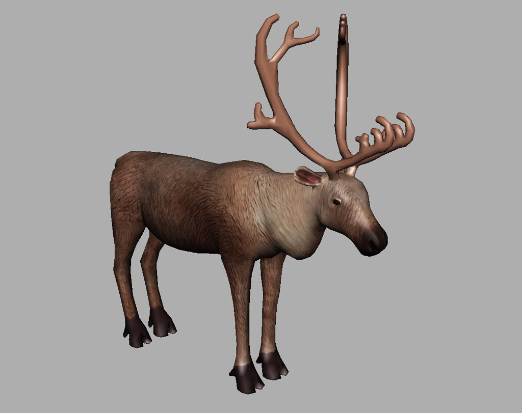 reindeer-3d-model-7