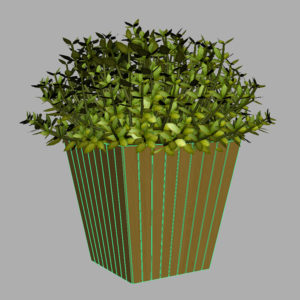 buxus-box-plant-3d-model-12