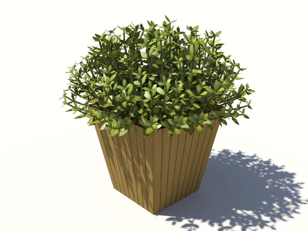 Buxus Box Plant 3D Model  Realtime 3D  Models  World