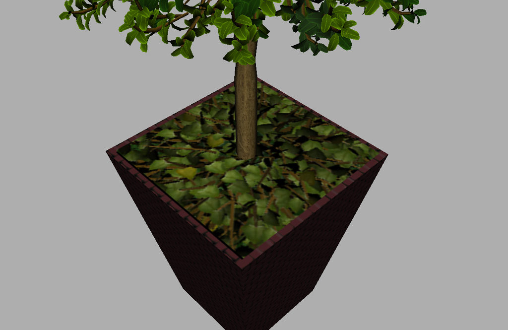 buxus-box-plant-3d-model-tree-12