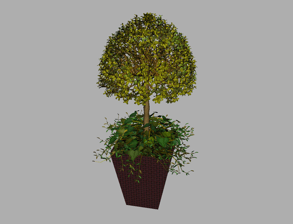 buxus-box-plant-ivy-3d-model-10