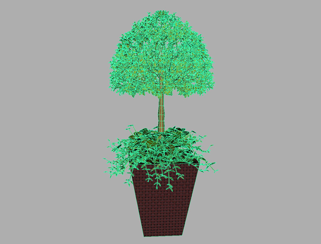 buxus-box-plant-ivy-3d-model-9
